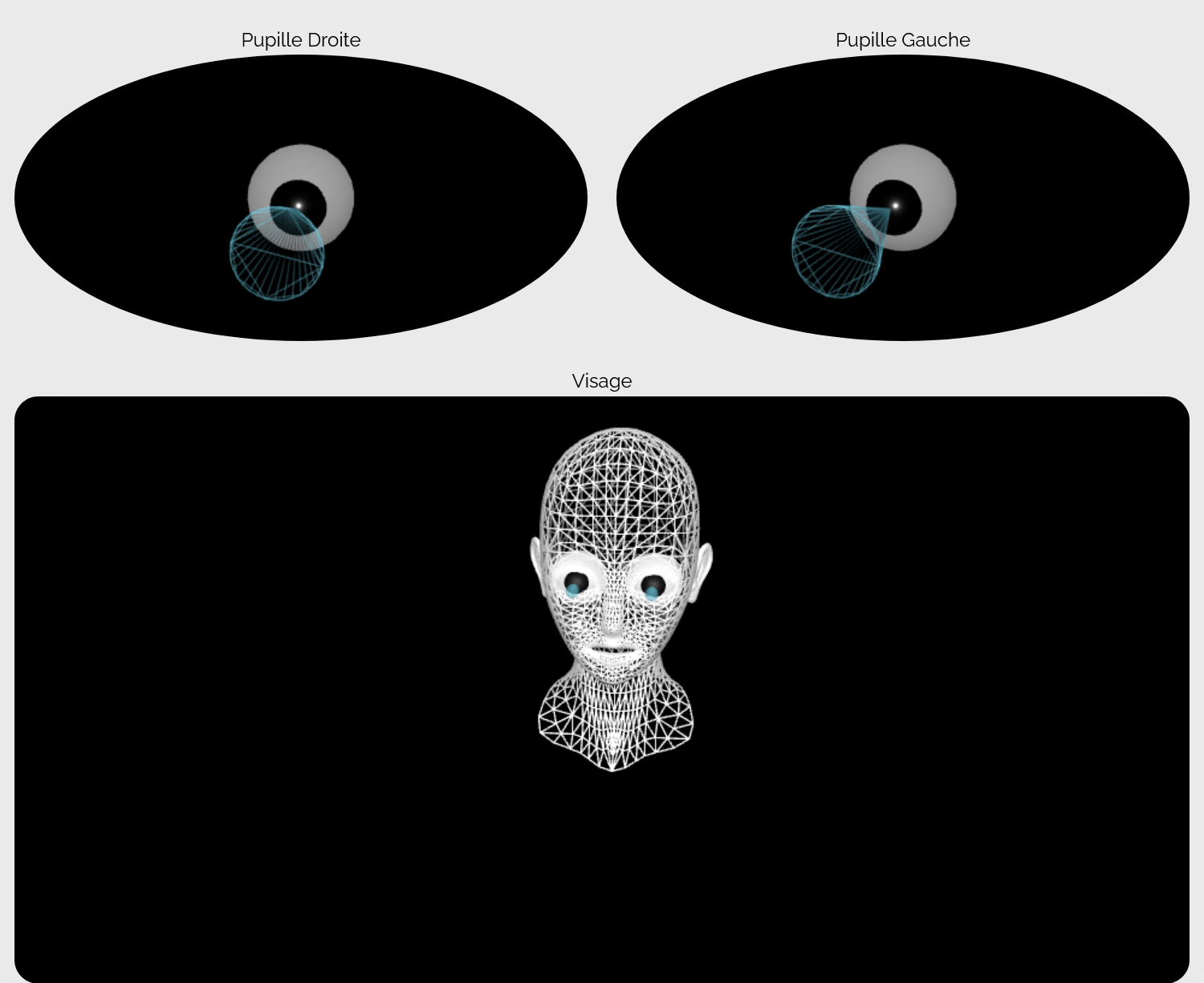 Prévisualisation 3D des mouvements pupillaires et de la tête du porteur