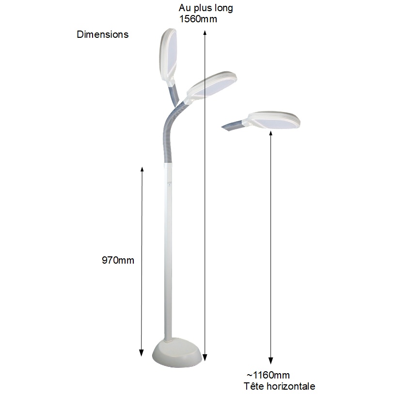 Dimensions