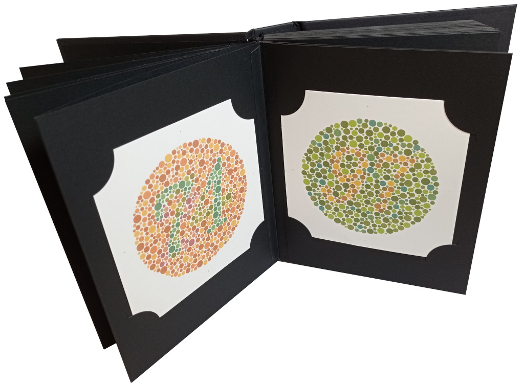 Test Ishihara 38 planches