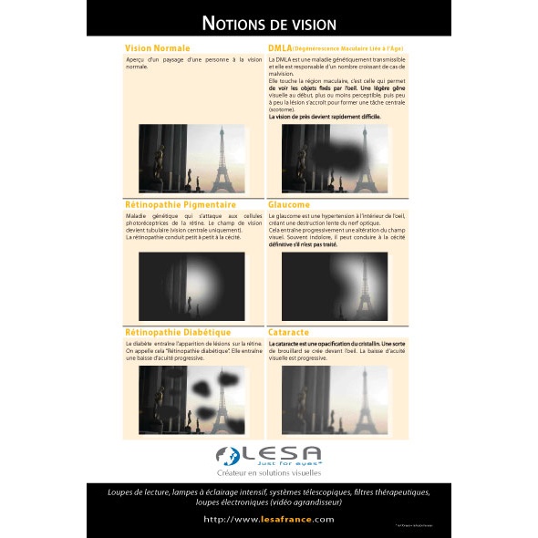 "Notions de vision" 610x900mm