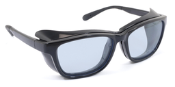 [FP04BV] Berry Low Vision Glasses with Filter
