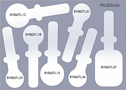 [PRL2024.06] MagDisplay Plateau COIL AutoRaylite